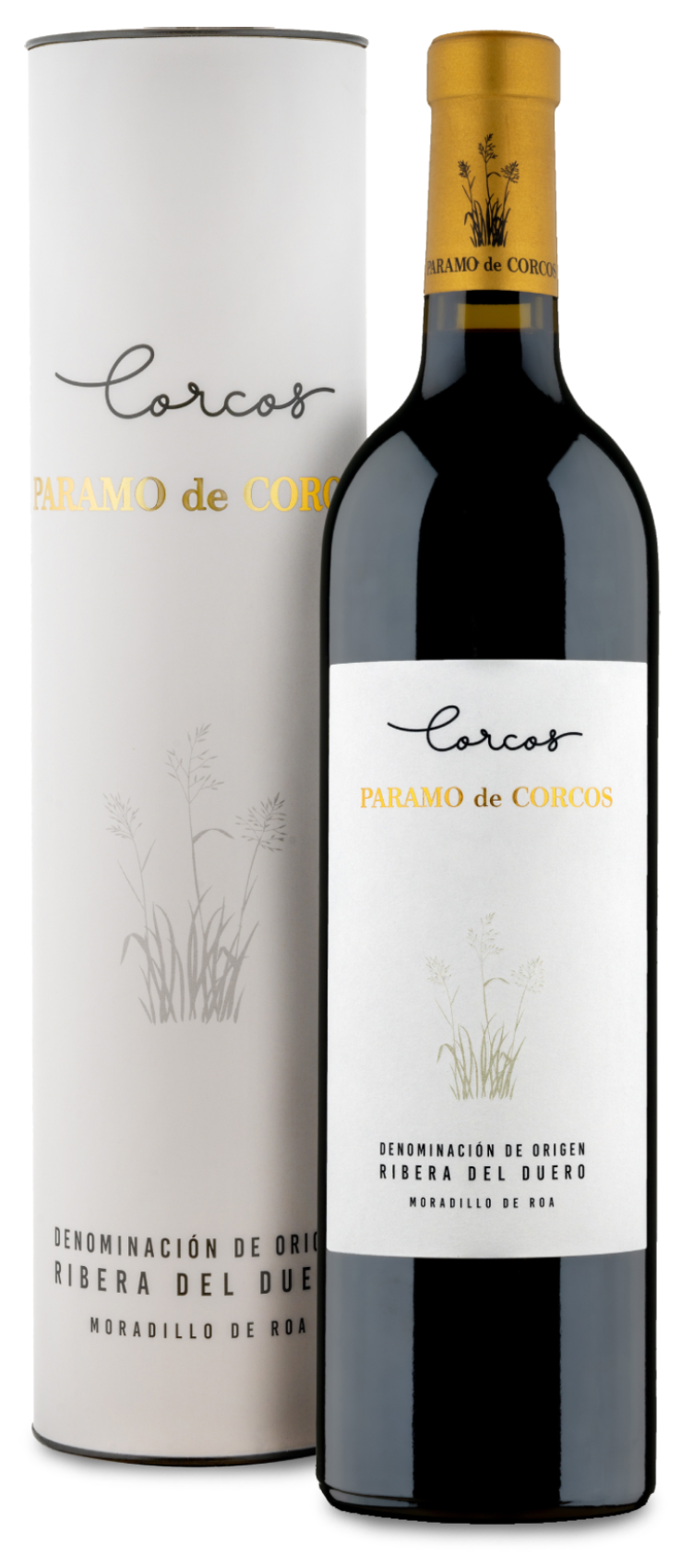 Botella con canister